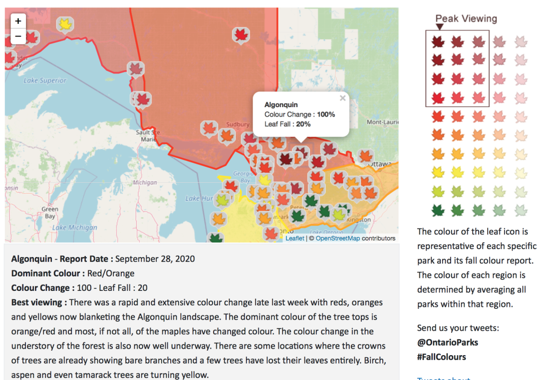 去早了绿，去晚了秃：阿岗昆最美的枫景怎么赏？