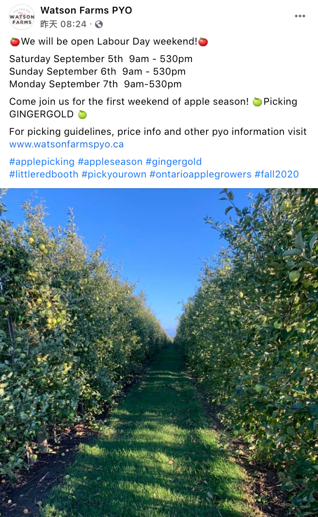 多伦多摘苹果农场盘点：Brooks Farm妥妥C位！周周有主题！