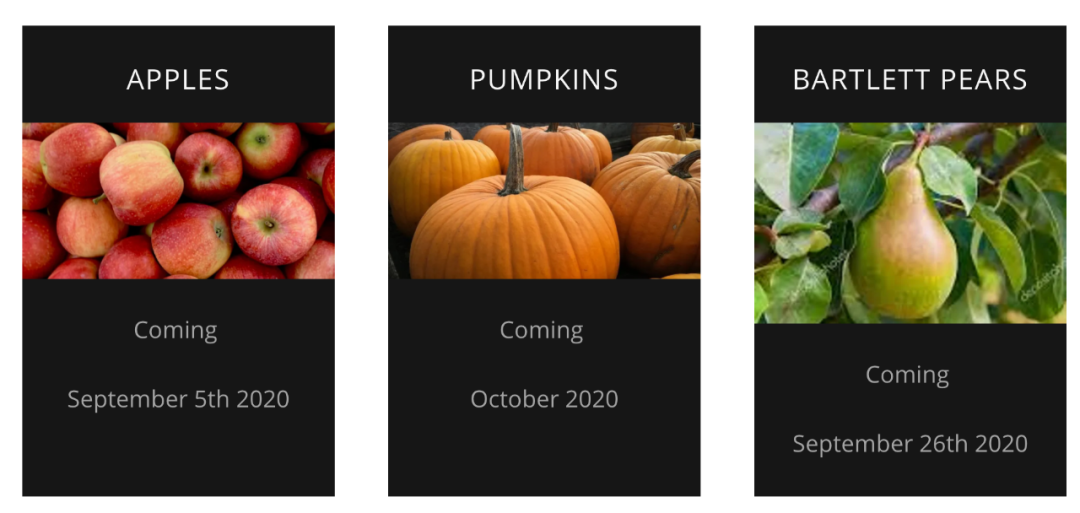 多伦多摘苹果农场盘点：Brooks Farm妥妥C位！周周有主题！