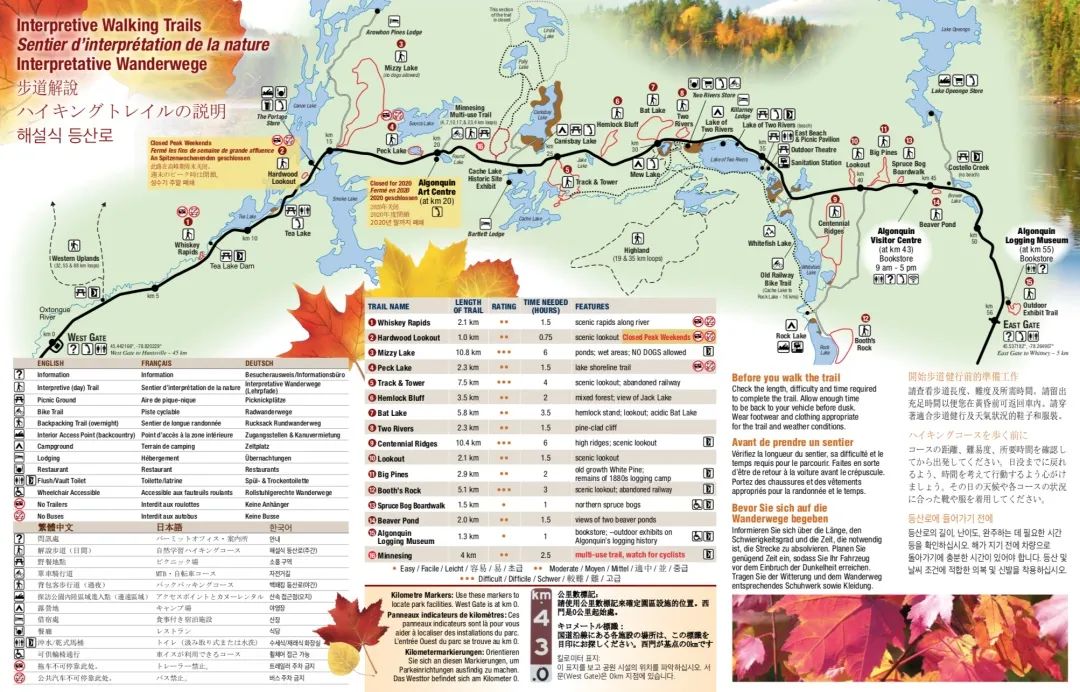 去早了绿，去晚了秃：阿岗昆最美的枫景怎么赏？