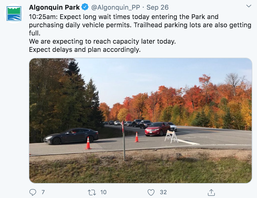 去早了绿，去晚了秃：阿岗昆最美的枫景怎么赏？