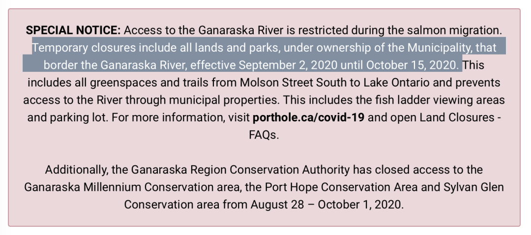 今年还能看三文鱼洄游吗？励志大神快来了！