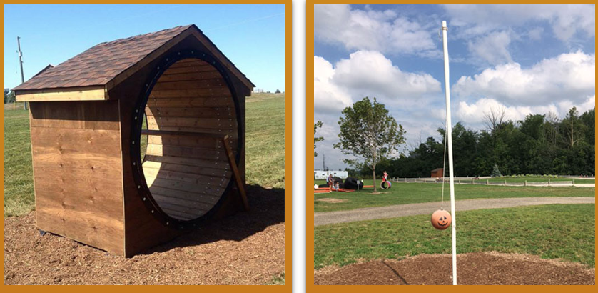 朋友圈柠檬收割机：这才是你该带娃遛的南瓜农场！