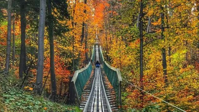 多伦多北部赏枫攻略：相同的秋日不同的美景，一路向北，越走越美~！