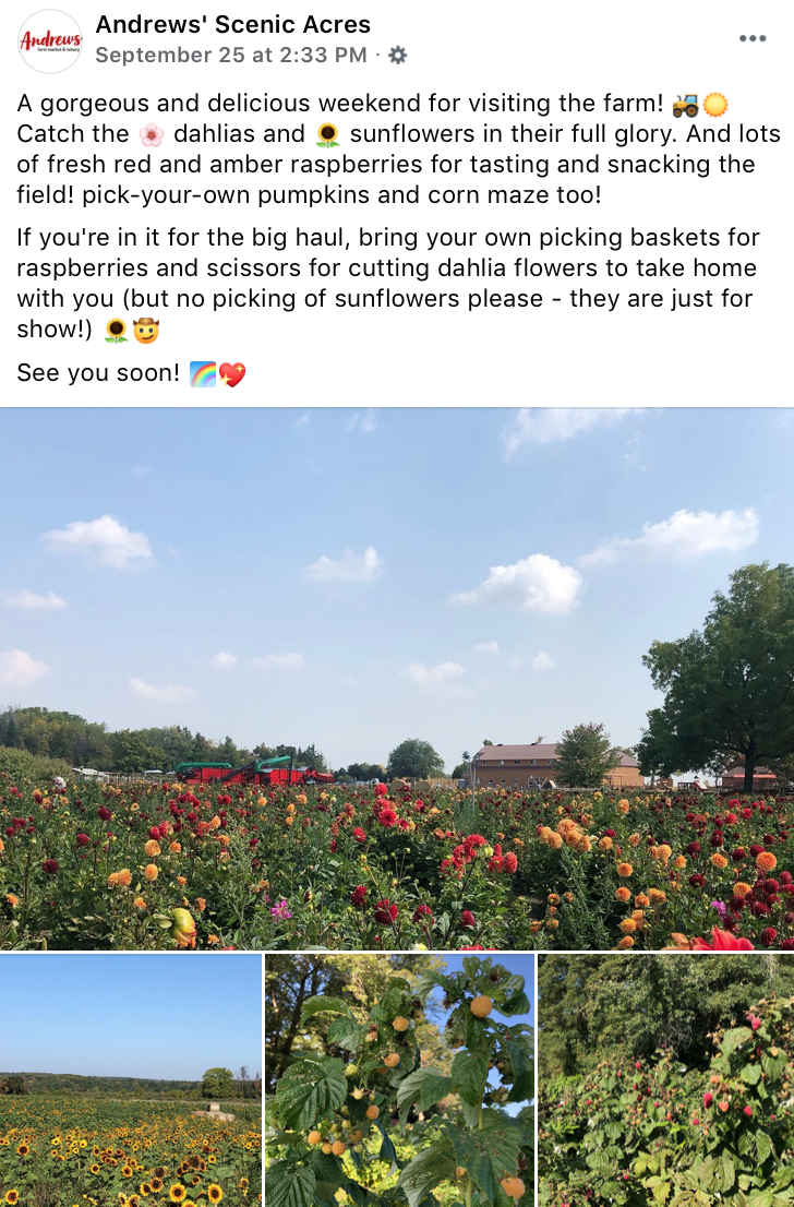 朋友圈柠檬收割机：这才是你该带娃遛的南瓜农场！