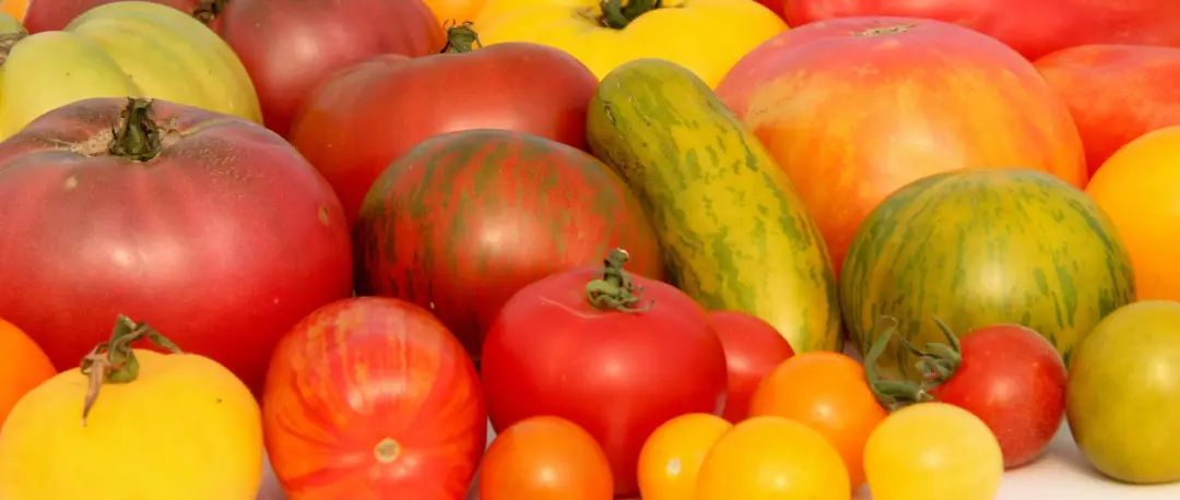 朋友圈柠檬收割机：这才是你该带娃遛的南瓜农场！