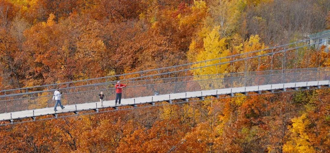 多伦多北部赏枫攻略：相同的秋日不同的美景，一路向北，越走越美~！