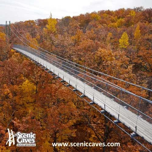 多伦多北部赏枫攻略：相同的秋日不同的美景，一路向北，越走越美~！