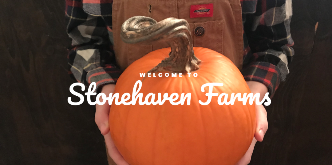 朋友圈柠檬收割机：这才是你该带娃遛的南瓜农场！