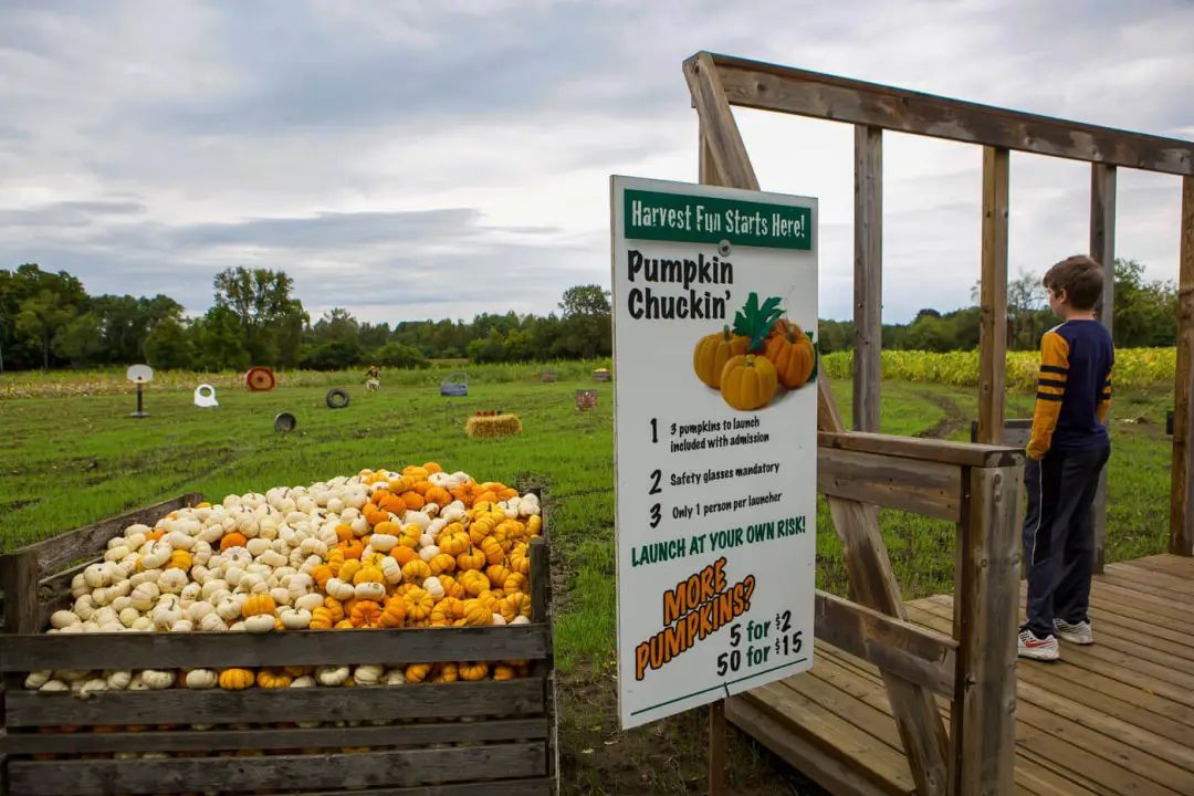 朋友圈柠檬收割机：这才是你该带娃遛的南瓜农场！