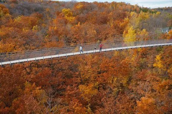 多伦多北部赏枫攻略：相同的秋日不同的美景，一路向北，越走越美~！