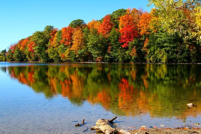 多伦多北部赏枫攻略：相同的秋日不同的美景，一路向北，越走越美~！