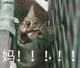 妈妈裸体入镜,孩子头卡椅子|大型网课翻车现场,太2020了! 妈妈裸体入镜,孩子头卡椅子|大型网课翻车现场,太2020了!