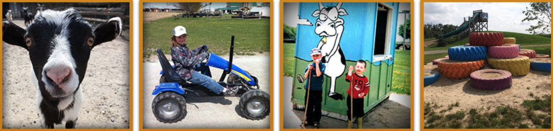 朋友圈柠檬收割机：这才是你该带娃遛的南瓜农场！