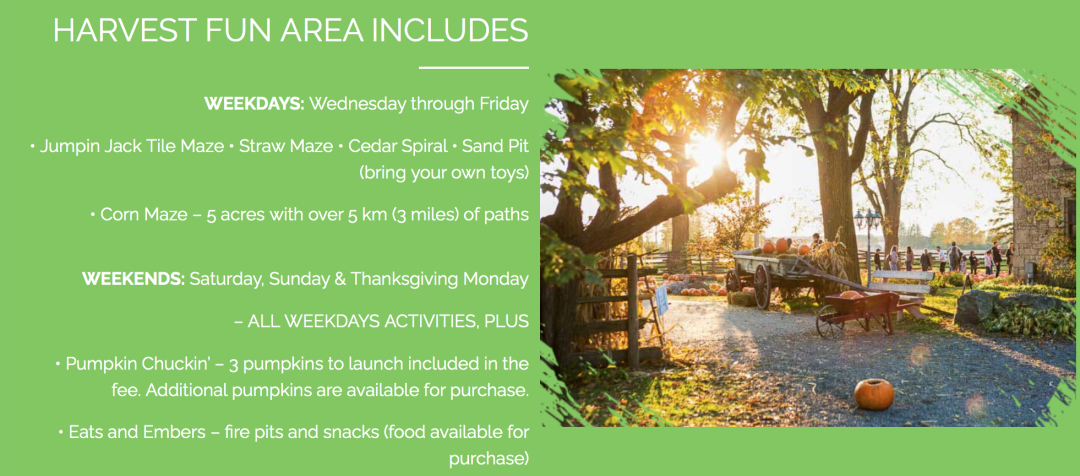 朋友圈柠檬收割机：这才是你该带娃遛的南瓜农场！