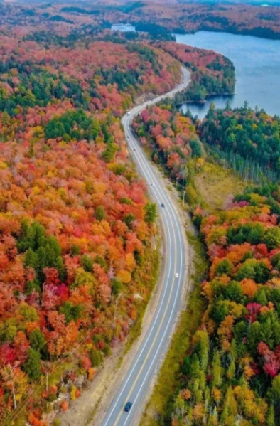 多伦多北部赏枫攻略：相同的秋日不同的美景，一路向北，越走越美~！