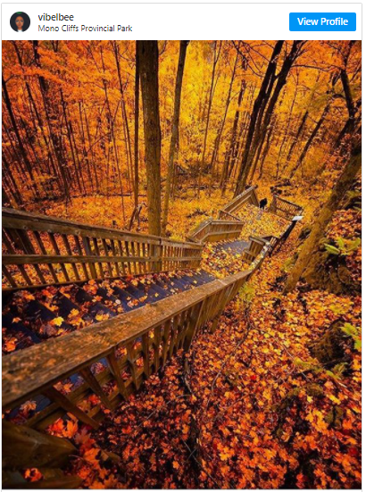 多伦多北部赏枫攻略：相同的秋日不同的美景，一路向北，越走越美~！