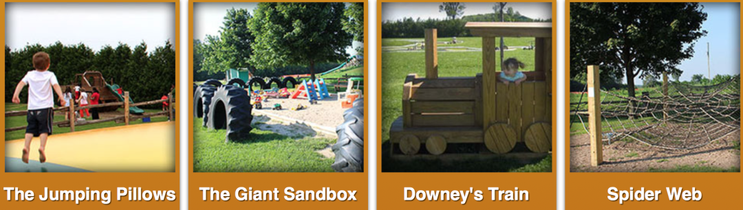 朋友圈柠檬收割机：这才是你该带娃遛的南瓜农场！