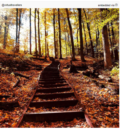 多伦多北部赏枫攻略：相同的秋日不同的美景，一路向北，越走越美~！