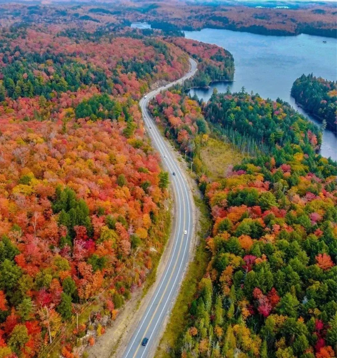多伦多北部赏枫攻略：相同的秋日不同的美景，一路向北，越走越美~！