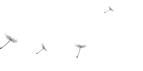 福利来袭!万锦大型华人超市网上送货服务,安全快速!1hr就到家! 福利来袭!万锦大型华人超市网上送货服务,安全快速!1hr就到家!