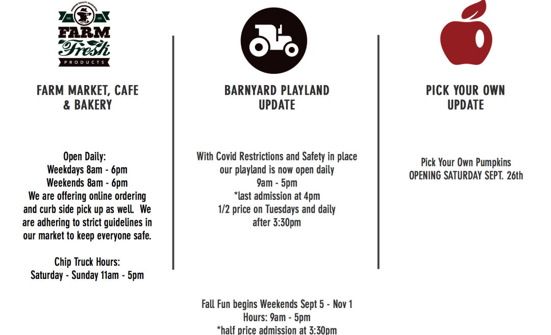 朋友圈柠檬收割机：这才是你该带娃遛的南瓜农场！