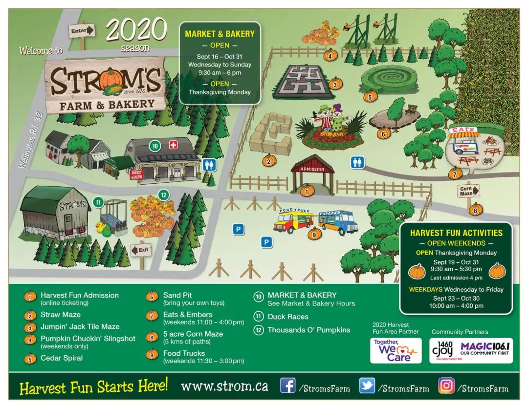 朋友圈柠檬收割机：这才是你该带娃遛的南瓜农场！