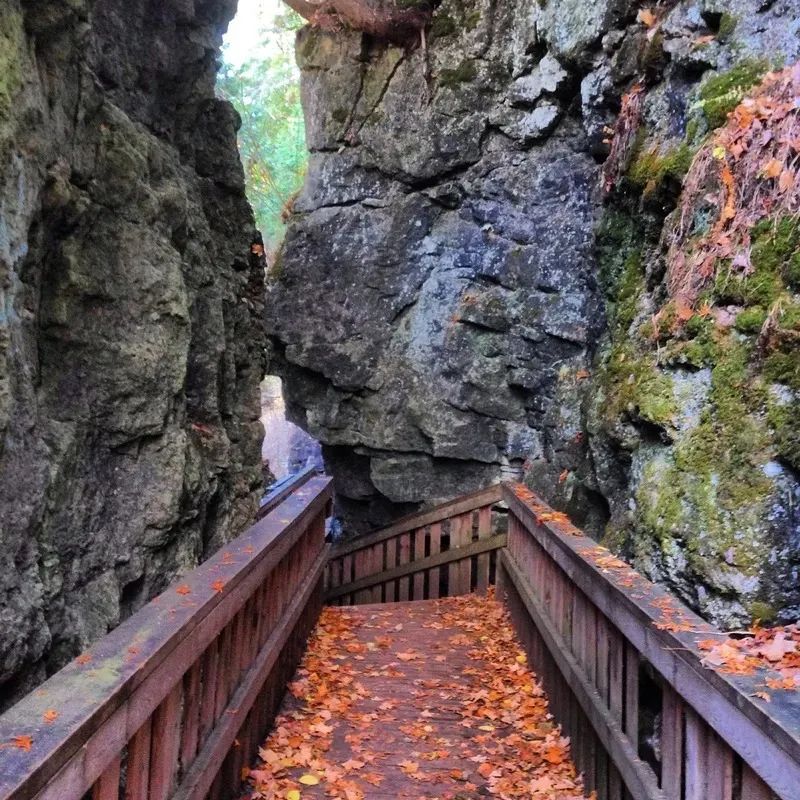 多伦多北部赏枫攻略：相同的秋日不同的美景，一路向北，越走越美~！