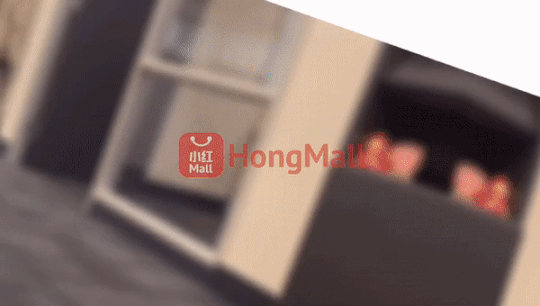 小红Mall仓库直击！零距离探秘北美最大华人电商！你的包裹都是这样诞生的！