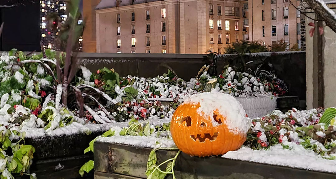 保暖舒适又百搭！这些儿童户外鞋一双就能挺过整个冬天