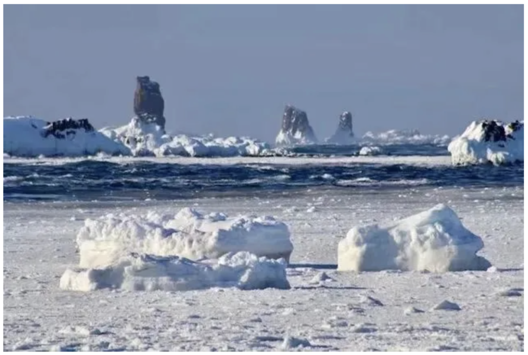 南极洲爆发确诊，病毒席卷全球7大洲！专家：南极可能成为病毒重启开关