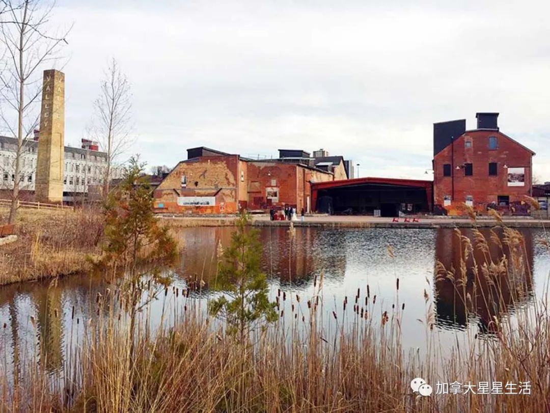 建议收藏：多伦多这些身边的美景你或许灯下黑