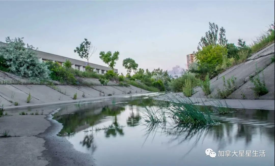 建议收藏：多伦多这些身边的美景你或许灯下黑