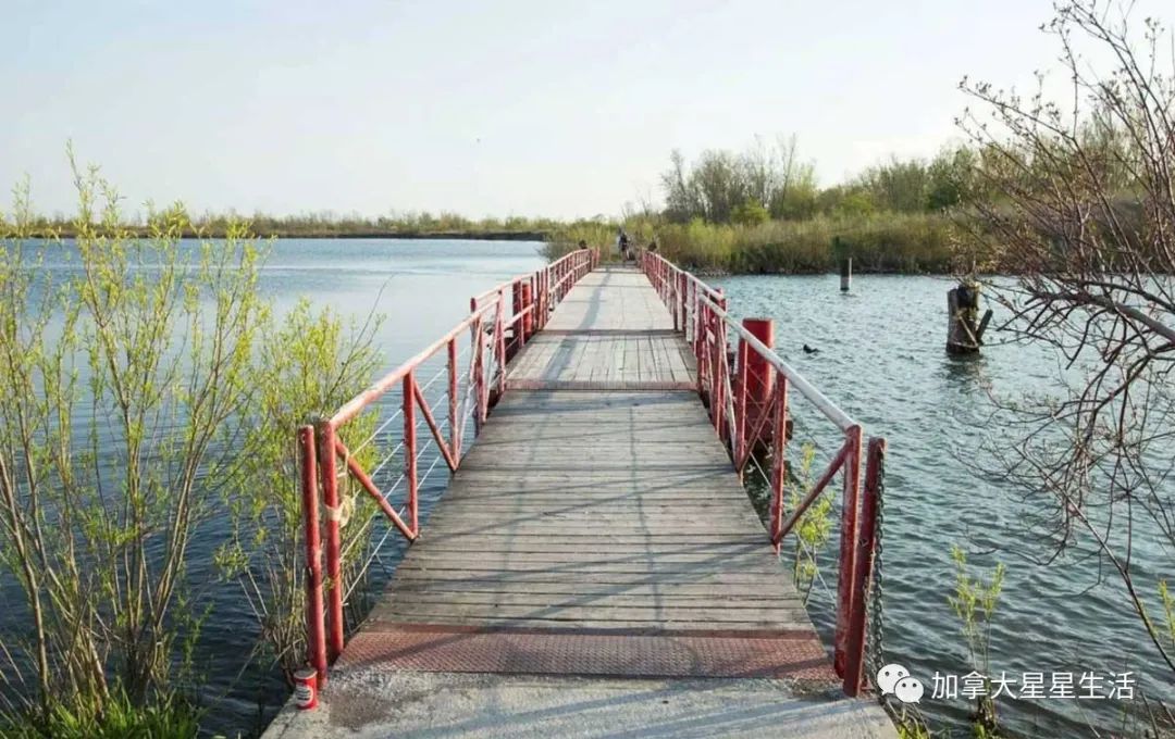 建议收藏：多伦多这些身边的美景你或许灯下黑
