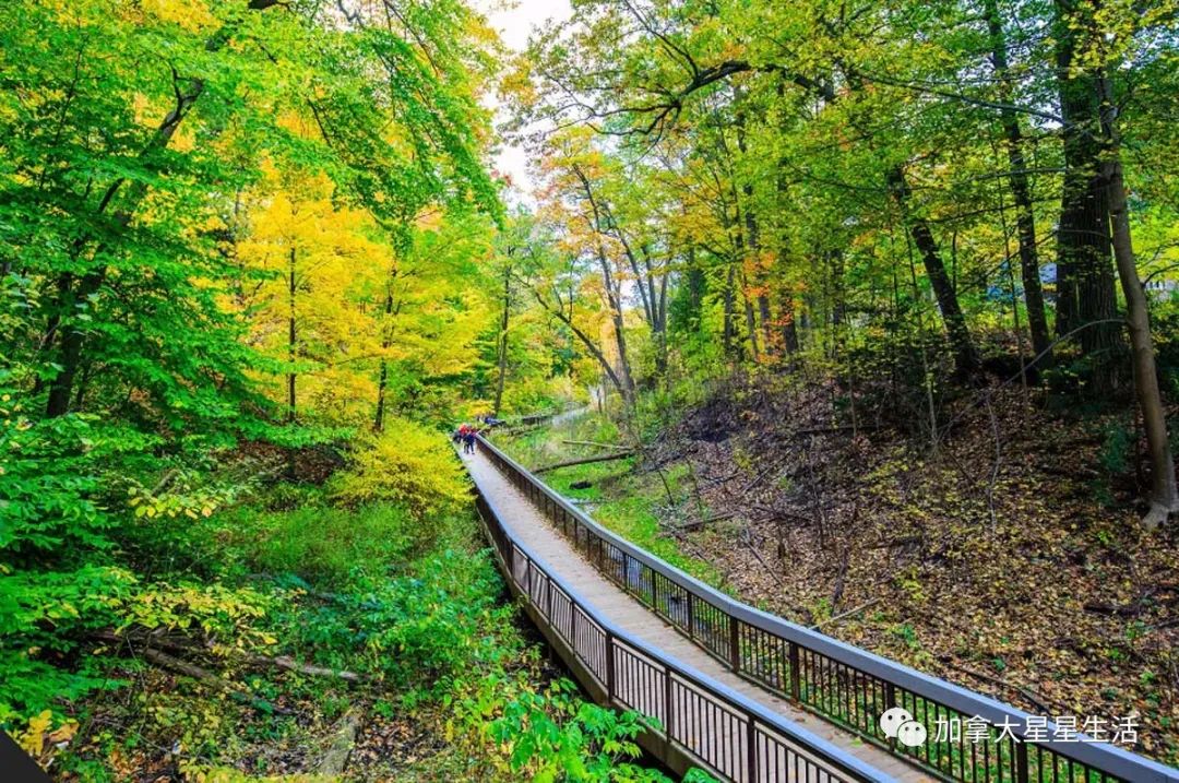 建议收藏：多伦多这些身边的美景你或许灯下黑
