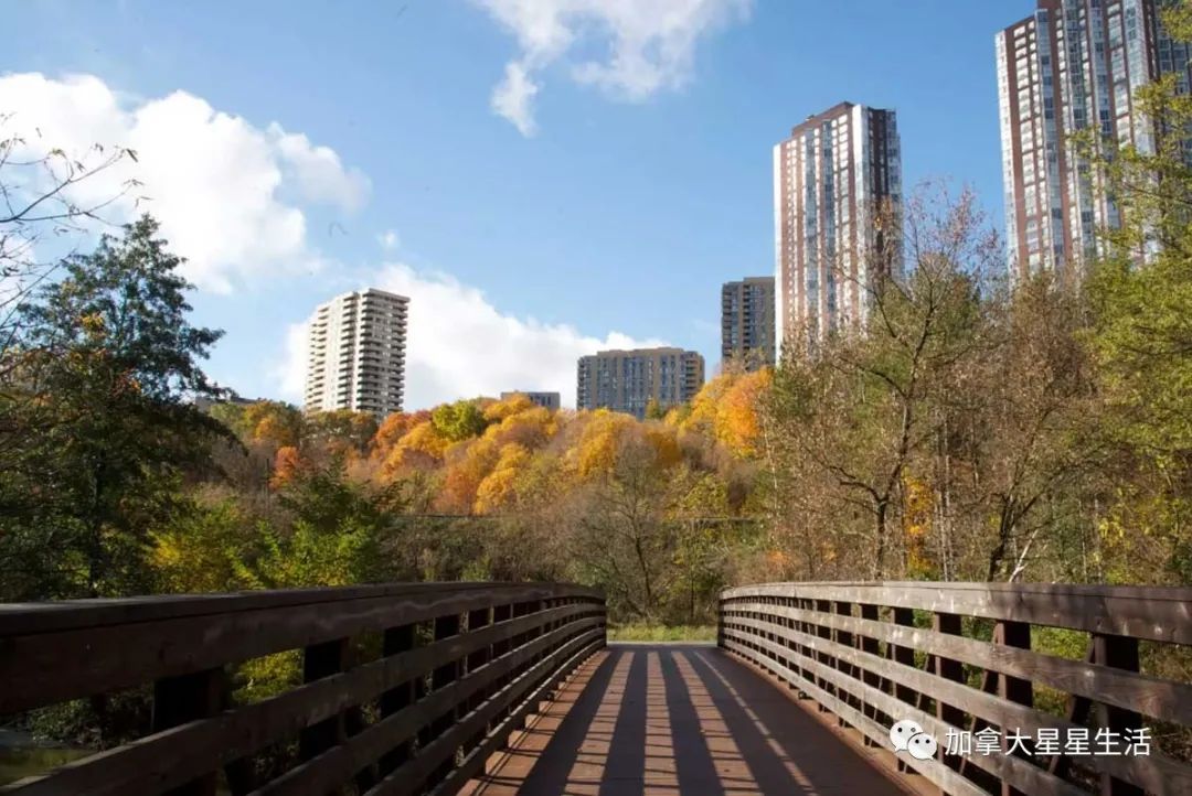 建议收藏：多伦多这些身边的美景你或许灯下黑