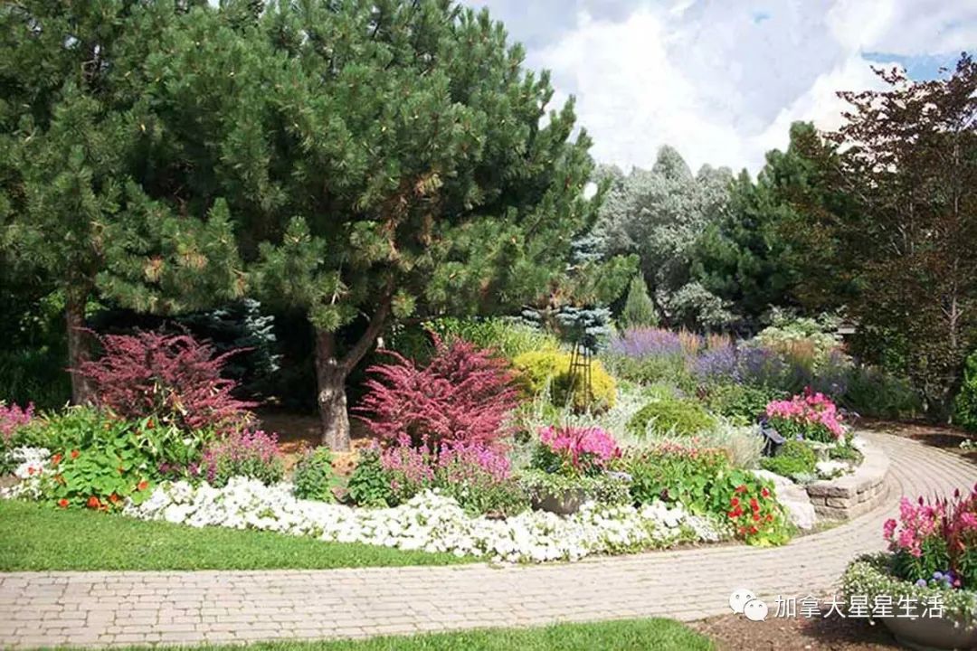 建议收藏：多伦多这些身边的美景你或许灯下黑