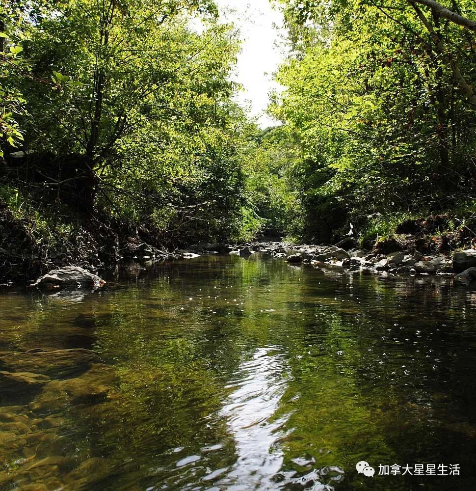 建议收藏：多伦多这些身边的美景你或许灯下黑