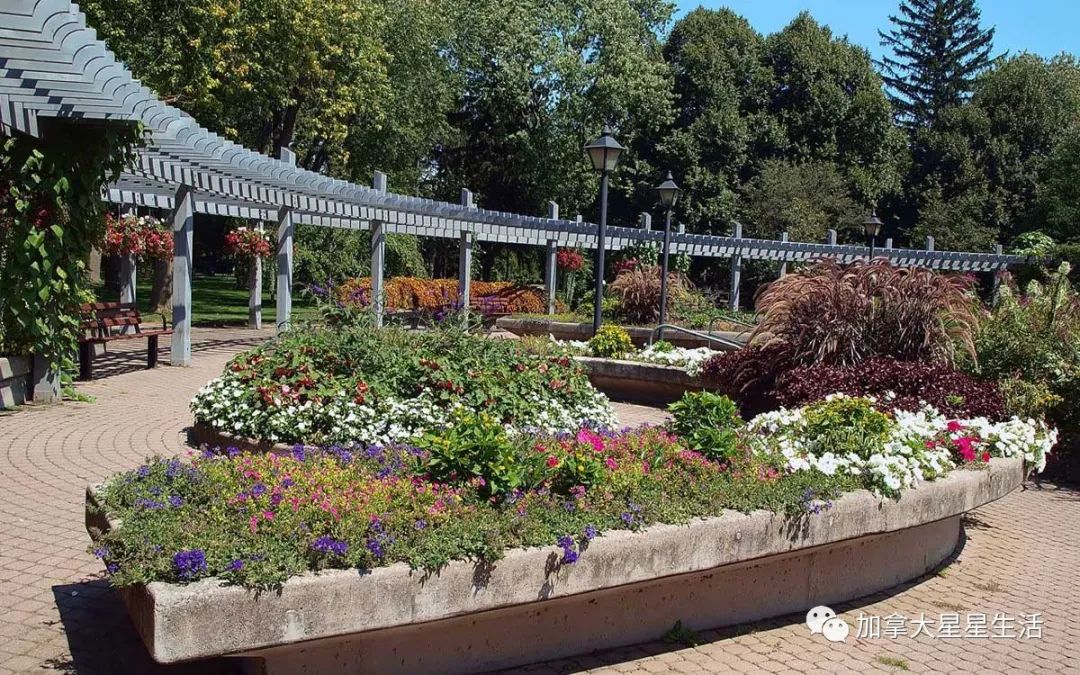 建议收藏：多伦多这些身边的美景你或许灯下黑