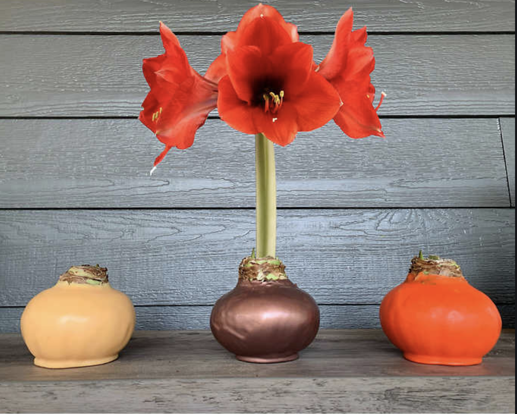 Costco门店黄签特价实拍：没人扛得住！内附省钱100%的秘诀