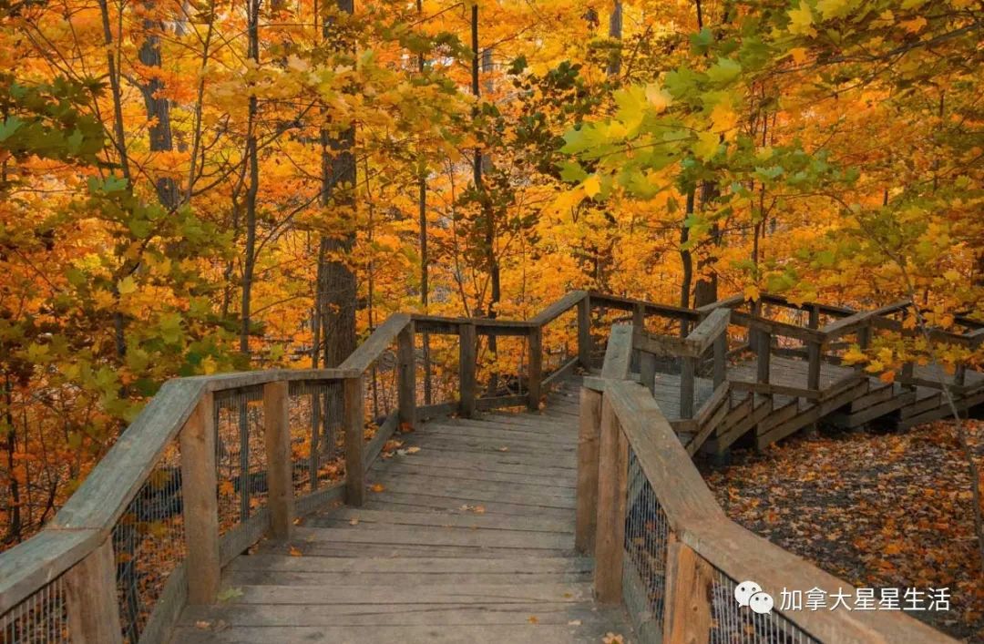建议收藏：多伦多这些身边的美景你或许灯下黑