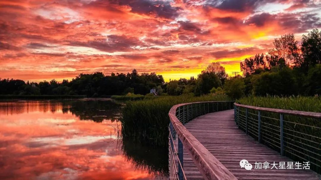 建议收藏：多伦多这些身边的美景你或许灯下黑