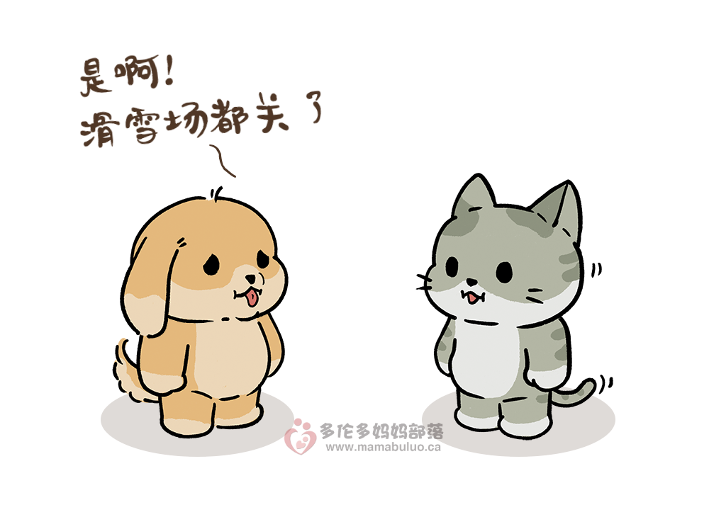 安省“居家令”今天正式开始：出门要带身份证，警察将巡街盘查