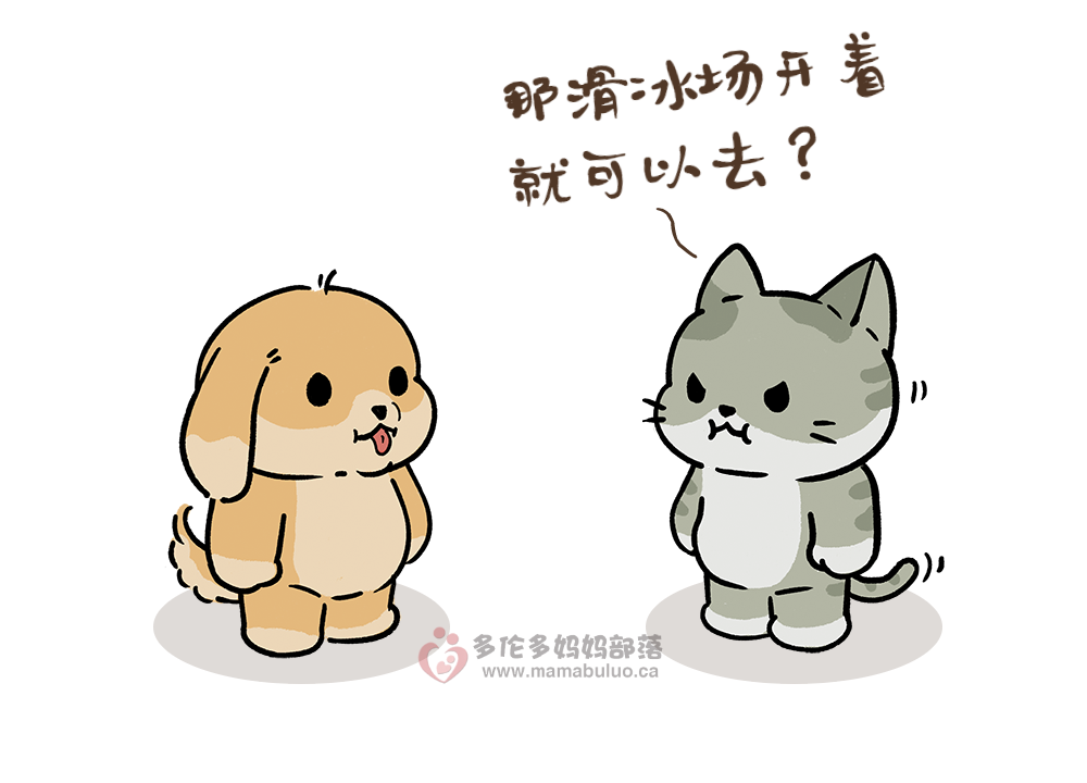 安省“居家令”今天正式开始：出门要带身份证，警察将巡街盘查