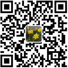 精读阅写、竞赛数学、特色法语...选对课是个技术活儿 精读阅写、竞赛数学、特色法语...选对课是个技术活儿