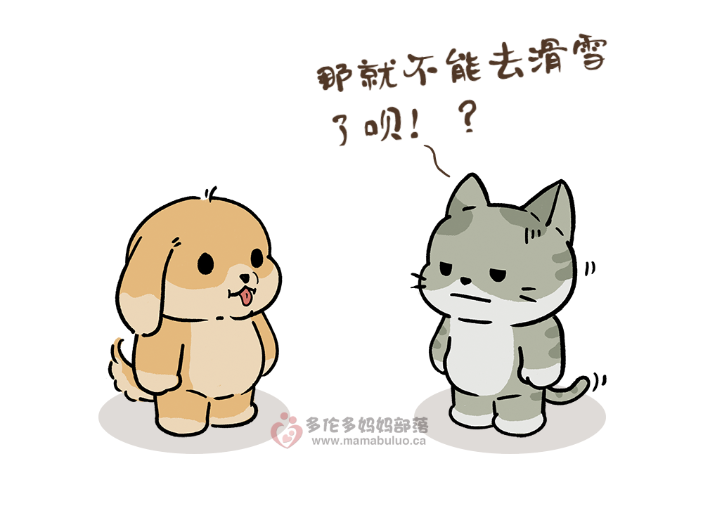 安省“居家令”今天正式开始：出门要带身份证，警察将巡街盘查