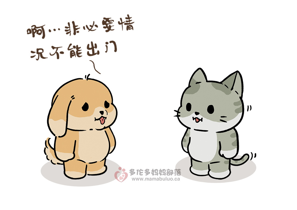 安省“居家令”今天正式开始：出门要带身份证，警察将巡街盘查