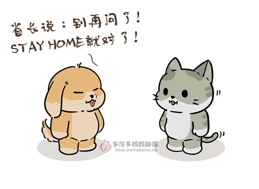 安省“居家令”今天正式开始：出门要带身份证，警察将巡街盘查