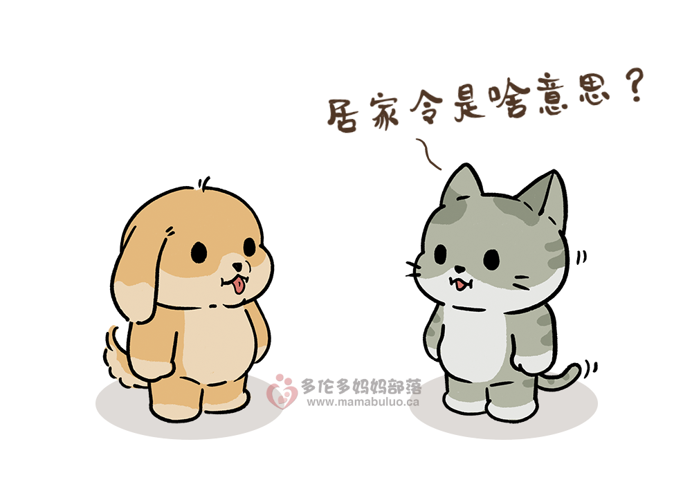 安省“居家令”今天正式开始：出门要带身份证，警察将巡街盘查