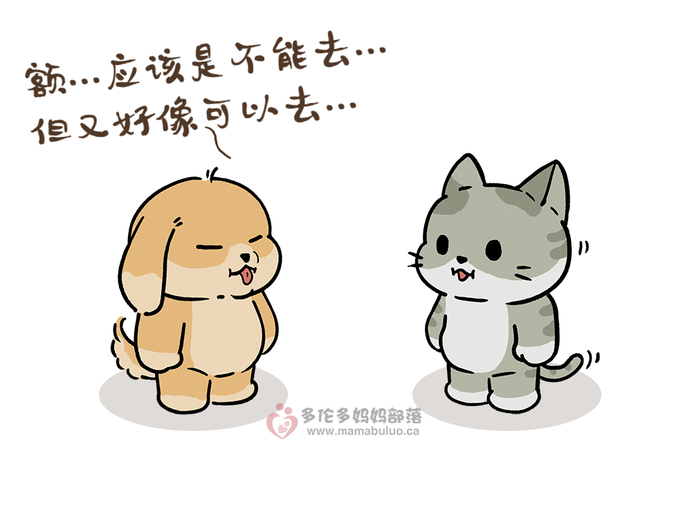 安省“居家令”今天正式开始：出门要带身份证，警察将巡街盘查